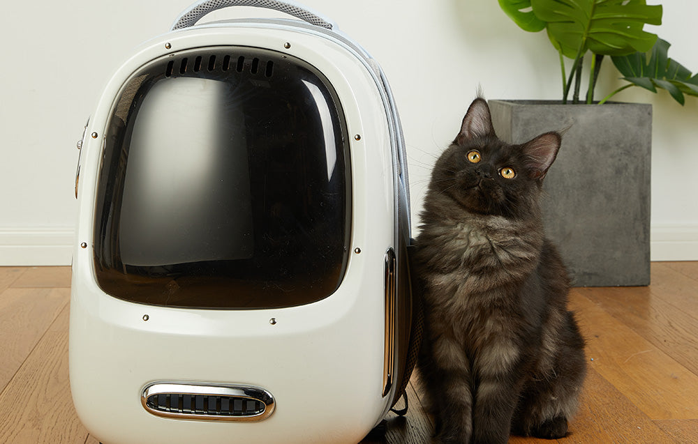 Petkit Breezy2 Smart Cat Carrier Cream White