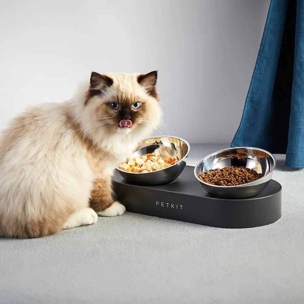 Alimentador Petkit Fresh Nano Metal 15º