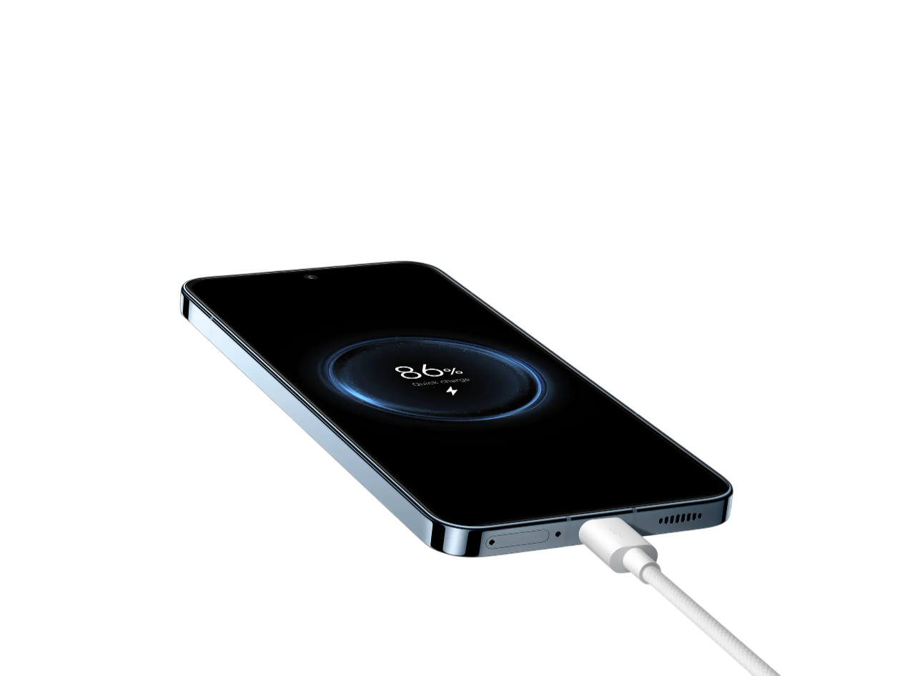 Cabo Xiaomi 3A Braided USB-C to USB-C Cable (1m)