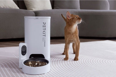 Alimentador inteligente PETKIT Yumshare Solo Smart Pet Feeder With Camera