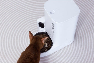 Alimentador inteligente PETKIT Yumshare Solo Smart Pet Feeder With Camera