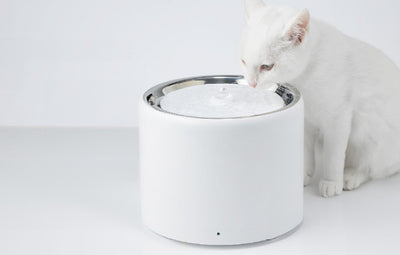 Fonte de Água Petkit Eversweet 3 Pro - UVC