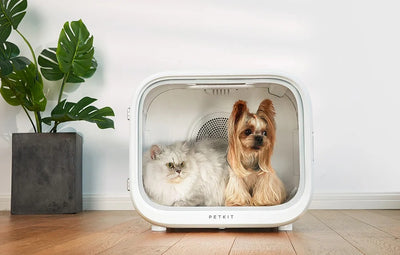 Secador Pet petkit AirSalon Max Pro Smart Pet Dryer Box