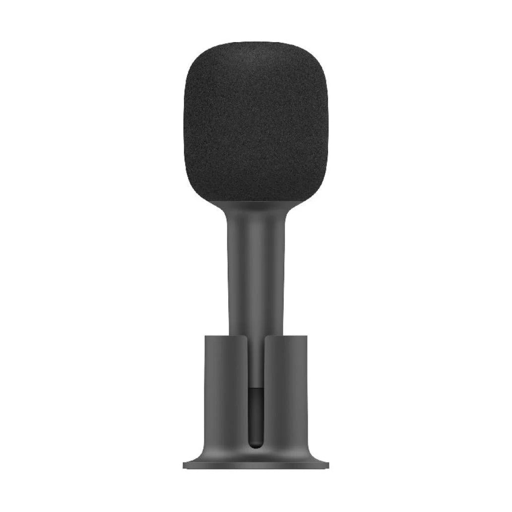 Xiaomi Karaoke Microphone