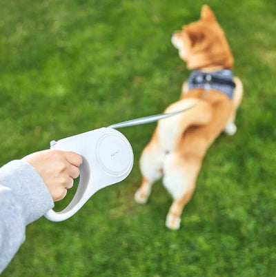 Trela retrátil Petkit Go Free Dog Retractable Leash 3m