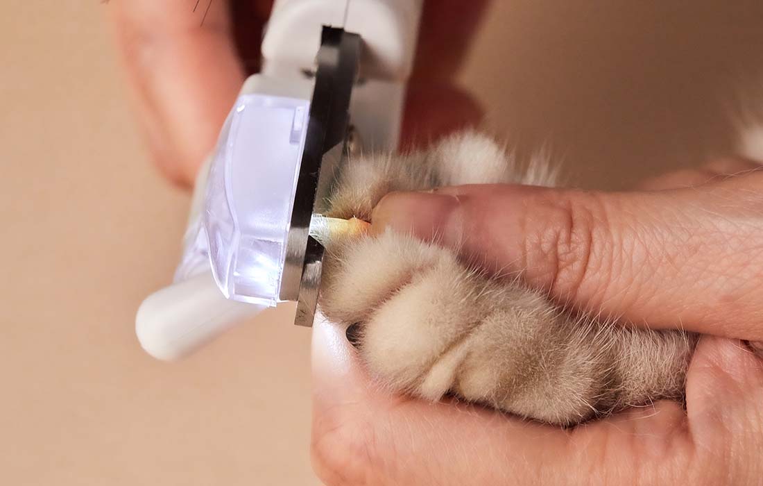 Corta-unhas para Animais Petkit