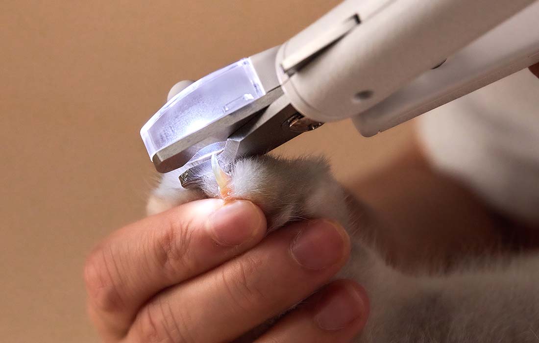 Corta-unhas para Animais Petkit