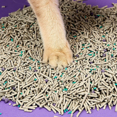 Areia para Gato Petkit aglomerante biodegradável in 1 Mixed Cat Litter (7L)