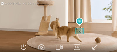 Câmara  Xiaomi C500 Dual