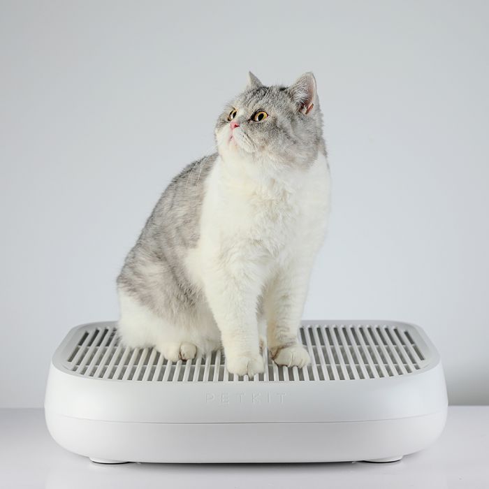 PETKIT CAT LITTER TRAPPER 箱付き 61Y-vdmfKUL._UF1000,1000_QL80_.jpg