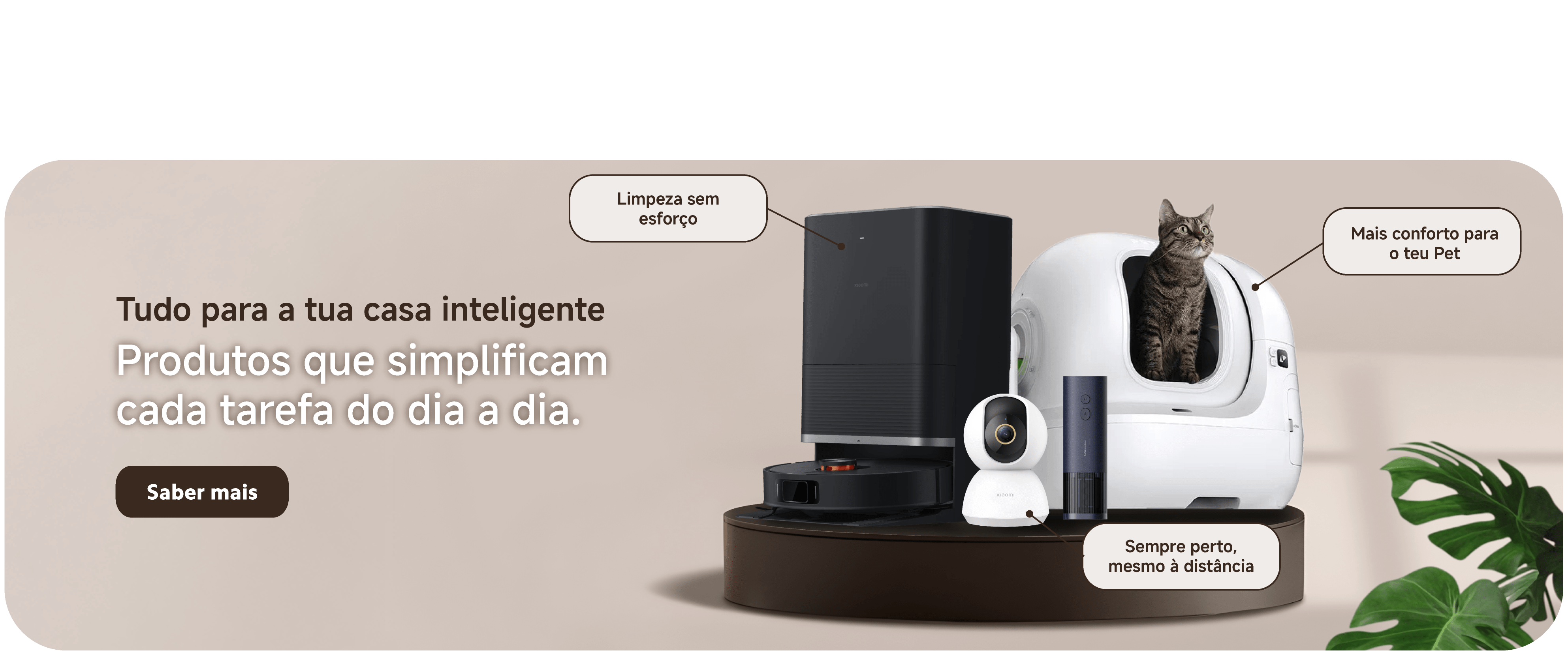 wearables