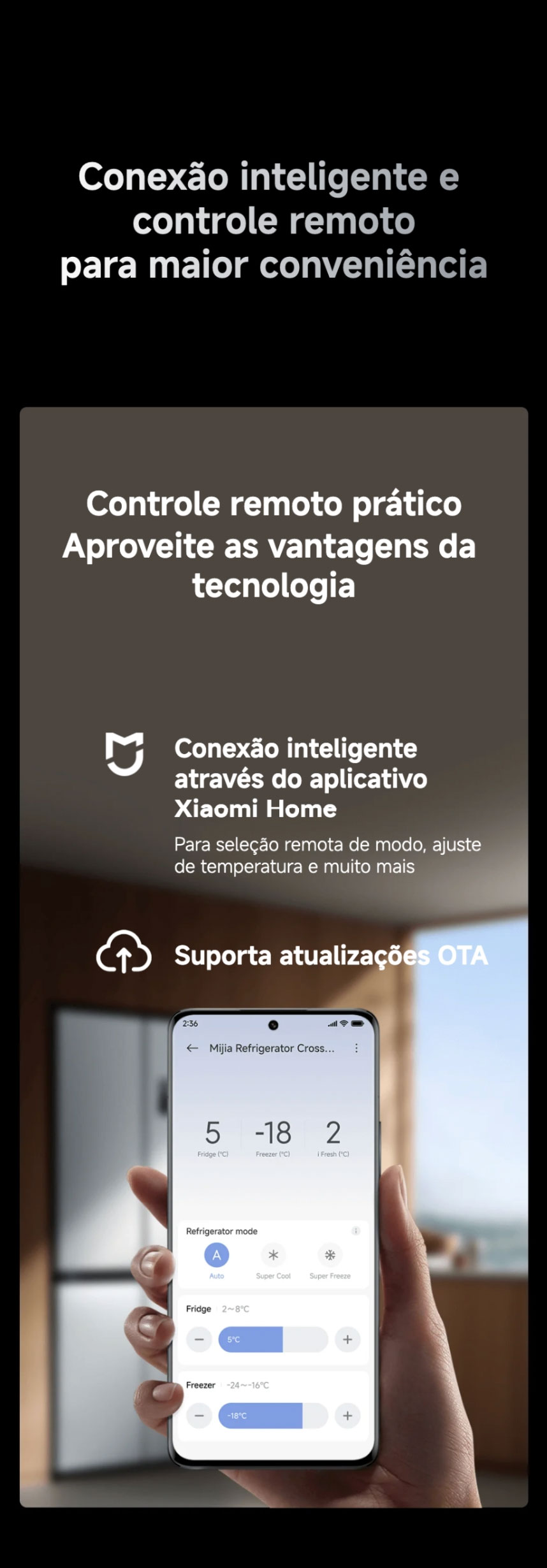 Prato com morangos no interior do frigorífico, demonstrando a ação antibacteriana Ag+ e a neutralização de odores.
