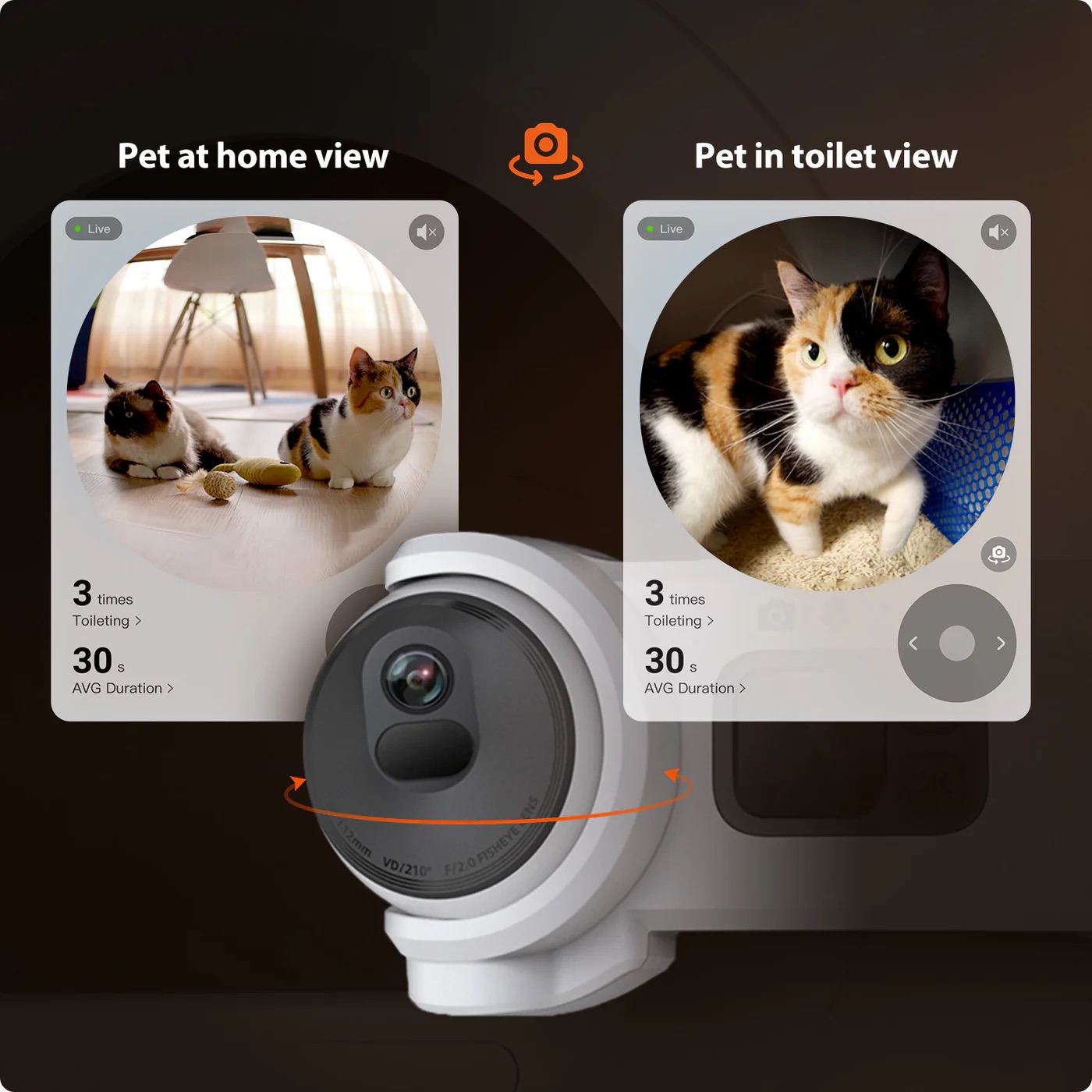 Monitorização de Comportamento Animal a 360°